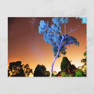 Creative Piece Postkarte