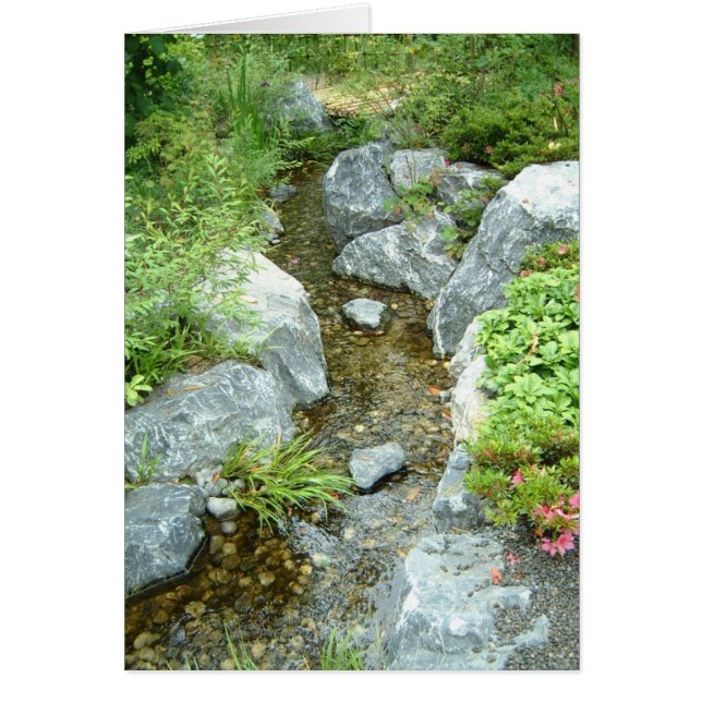 Creek (Vorne)