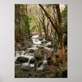 Creek at Bridal Veil Falls, Yosemite Poster