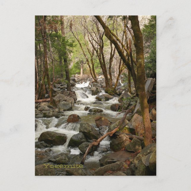 Creek at Bridal Veil Falls, Yosemite Postkarte (Vorderseite)