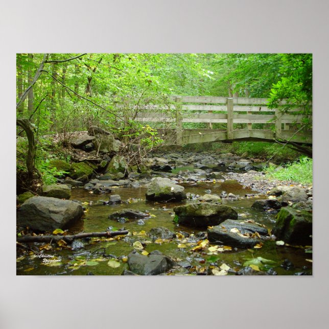 Creek Bridge Forest Poster (Vorne)