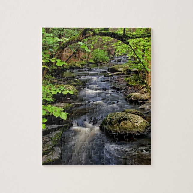Creek fließt durch Wald (Vertikal)