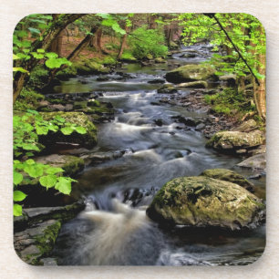 Creek fließt durch Wald Getränkeuntersetzer