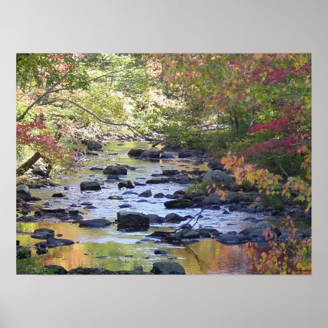 Creek in Connecticut Poster (Vorne)