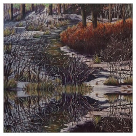 Creek Life Fabric Stoff