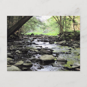 Creek Postkarte