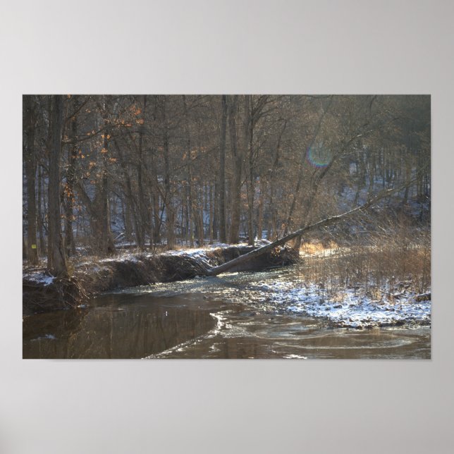 Creek Winter Waterscape Poster (Vorne)