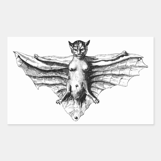 Creepe Cat Bat Kreatur Monster Fantasie Biest Rechteckiger Aufkleber (Vorderseite)
