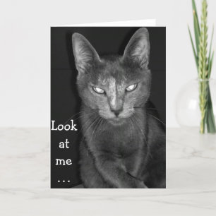 Creepy Cat - Geburtskarte Karte