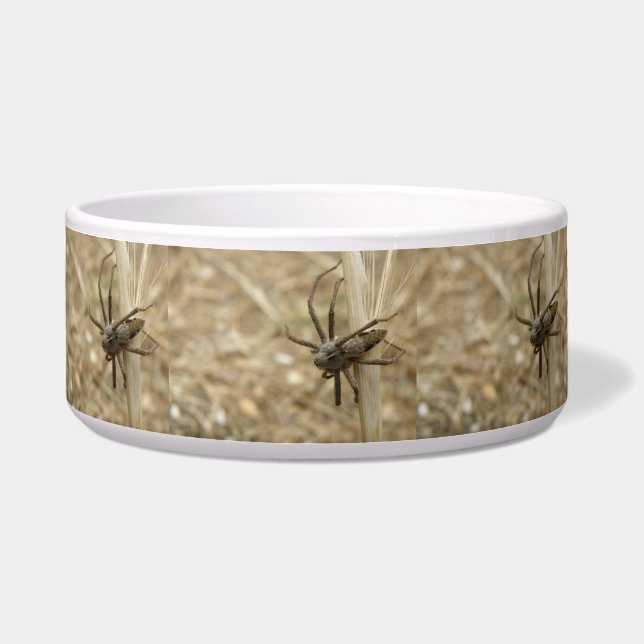 Creepy Crawly Spider Bowl Napf (Vorderseite)