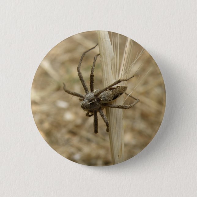 Creepy Crawly Spider Button (Vorderseite)