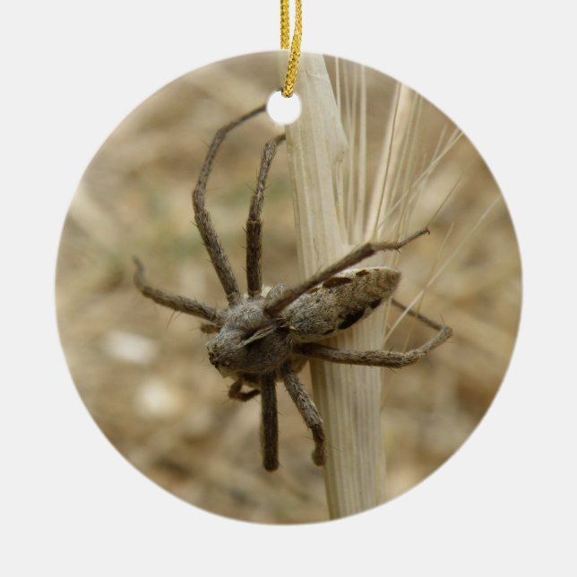 Creepy Crawly Spider Custom Birthday Keramikornament (Vorne)
