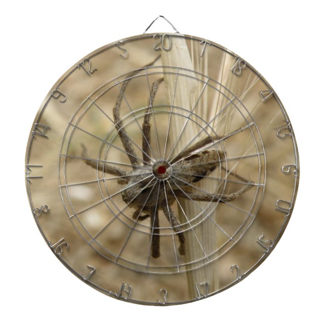 Creepy Crawly Spider Dart Board Dartscheibe (vorne)