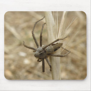 Creepy Crawly Spider Mousepad