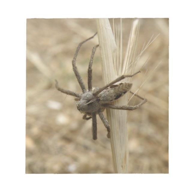 Creepy Crawly Spider Notepad Notizblock (Vorderseite)