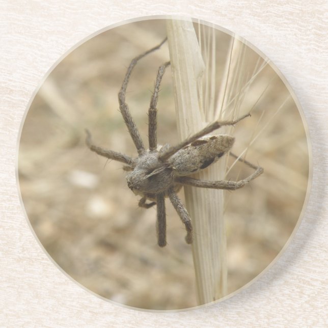 Creepy Crawly Spider Untersetzer (Vorne)