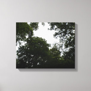 Creepy Forest Canvas Print Leinwanddruck