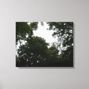 Creepy Forest Canvas Print Leinwanddruck