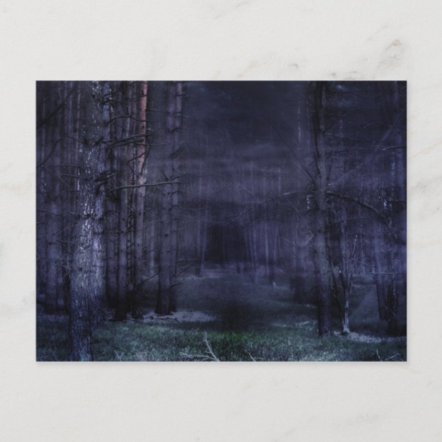 Creepy Forest Postkarte (Vorderseite)
