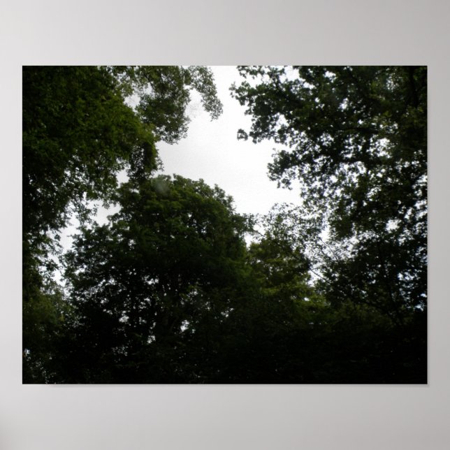 Creepy Forest Print Poster (Vorne)