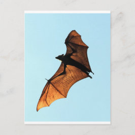 Creepy halloween fox (Fruchtfledermaus) Postkarte