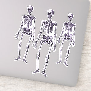 Creepy Lila Skeletons Halloween-Party Deco Aufkleber