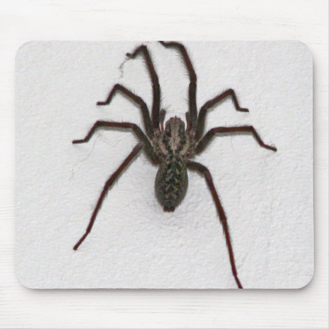 Creepy Spider Mousepad (Vorne)