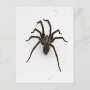 Creepy Spider Postkarte