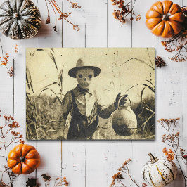 Creepy Vintag Skeleton im Maisfeld Postkarte