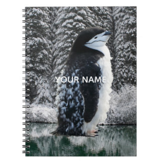 Créez votre propre cahier de photos de personnage