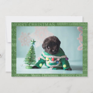 Créez votre propre carte de Noël