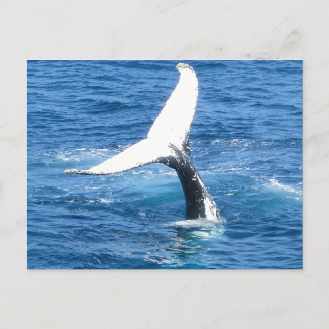 Créez votre propre carte de voeux photo (Devant)