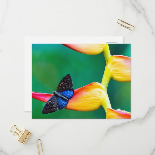 Créez votre propre Modèle photo personnalisé perso (Devant/Arrière en situation)