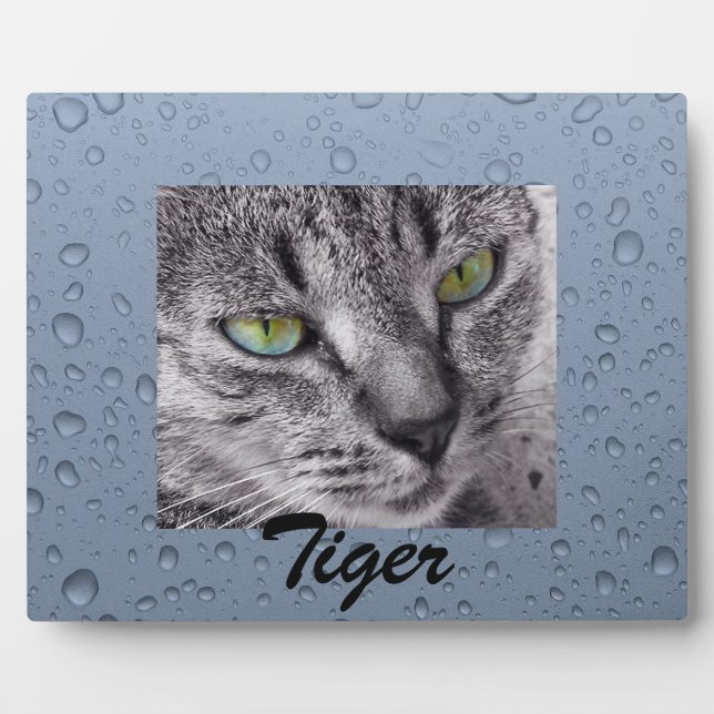 Créez votre propre plaque photo pour animaux de co (Devant)