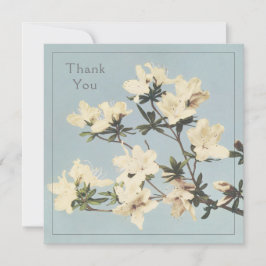 Creme Azalea Blume Dankeskarte