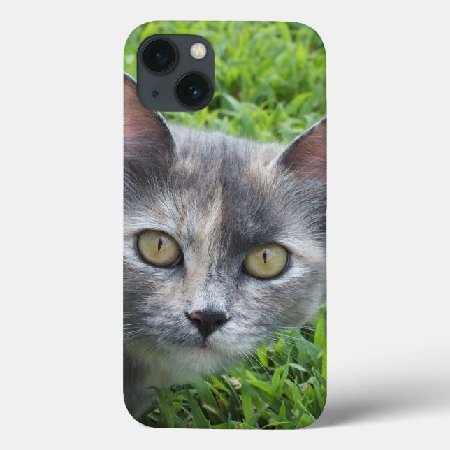 Crème bleue - Tortie Kitty coque ipad (Verso)
