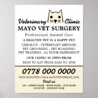 Creme Cat, Veterinary, Veterinary Service Advert