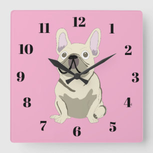 Creme Französische Bulldogge Quadratische Wanduhr