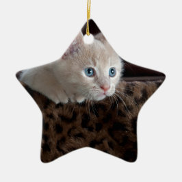 Creme Kitten mit schönen blauen Augen Keramikornament