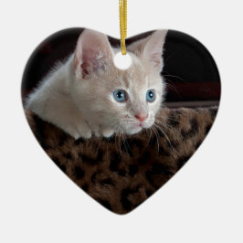 Creme Kitten mit schönen blauen Augen Keramikornament