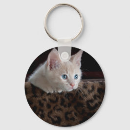 Creme Kitten mit schönen blauen Augen Schlüsselanhänger