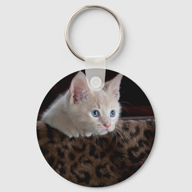 Creme Kitten mit schönen blauen Augen Schlüsselanhänger (Vorderseite)