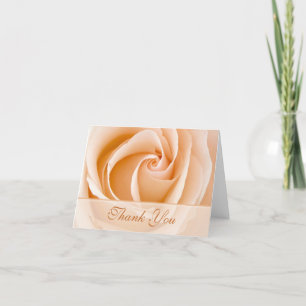 Creme Rose Danke Karte