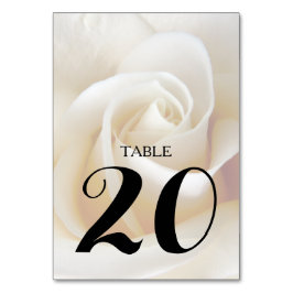 Creme Rose Hochzeit Tischnummer Cards