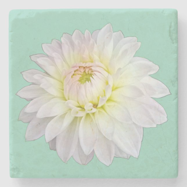 Creme und rosa Blume Steinuntersetzer (Vorderseite)