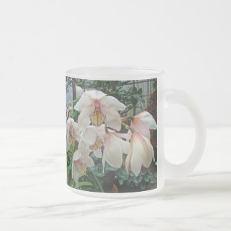 Creme und rosa Orchideen Mattglastasse