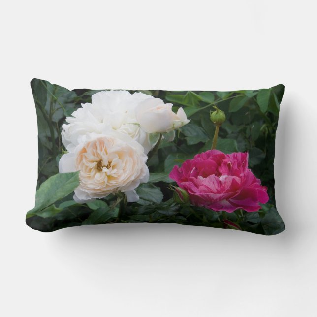 Creme und rosa Rose Lumbalkissen Lendenkissen (Vorderseite)