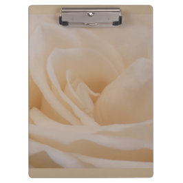 Cremefarbene Rose schließen Klemmbrett
