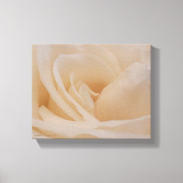 Cremefarbene Rose schließen Leinwanddruck
