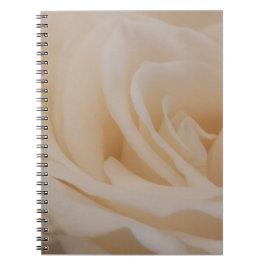 Cremefarbene Rose schließen Notizblock